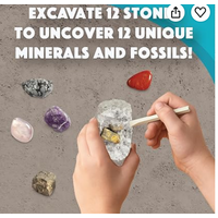 Dig It Up! Minerals and Fossils