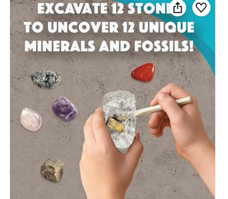 Dig It Up! Minerals and Fossils