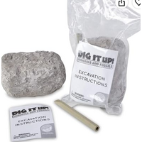 Dig It Up! Minerals and Fossils