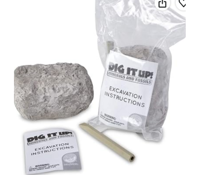Dig It Up! Minerals and Fossils