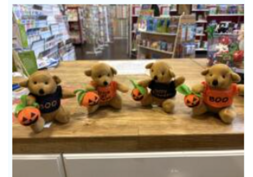 fun express Halloween Bears - sold individually*