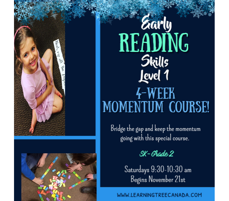 4 Week MOMENTUM  Early Reading Skills  - Level 1 FALL  2026  Saturdays 9:30-10:30am *