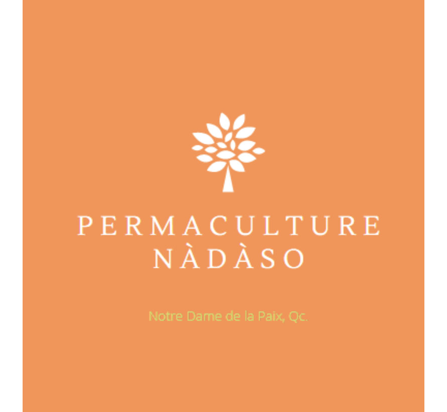 Découvrez nos produits Légume Permaculture Nadaso
