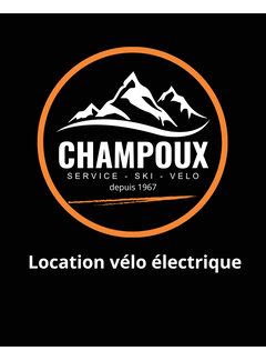 FORFAIT STATION LOC VÉLO ELECTRIQUE 1 JOURNÉE ET BOITE À LUNCH