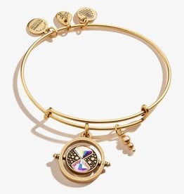 Alex and Ani Harry Potter, Time Turner, RG