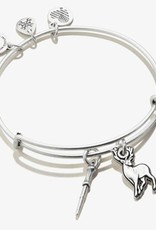 Alex and Ani Alex & Ani, Harry Potter, Wand and Patronus Duo, RS