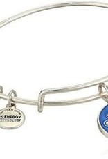 Alex and Ani Color Infusion, Anchor V, RS
