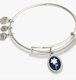 Alex and Ani - serendipitynaples.com Alex and Ani - serendipitynaples.com