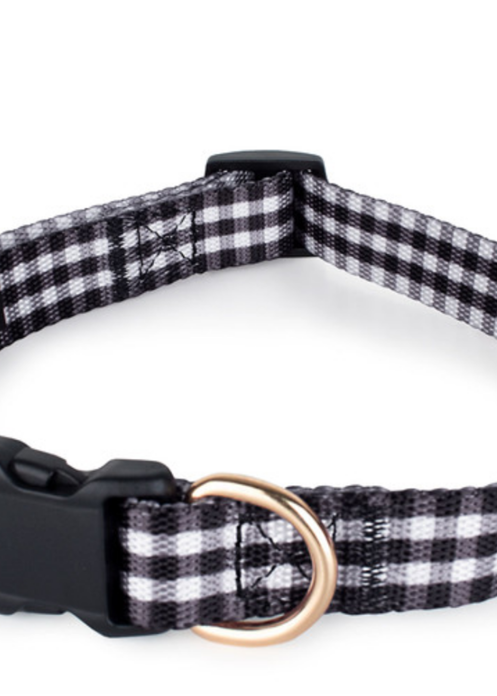 Boulevard Sparky Dog Collar