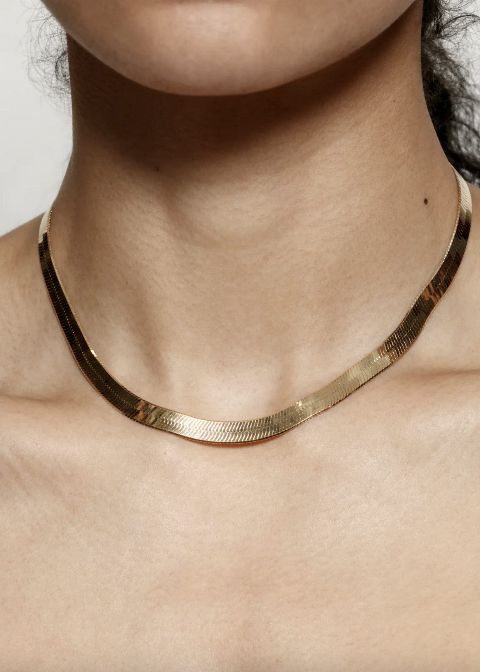 Wolf Circus Gold Herringbone