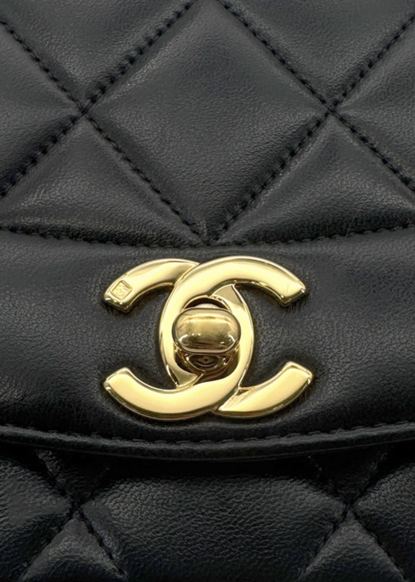 CHANEL Black Vintage Small Diana Flap