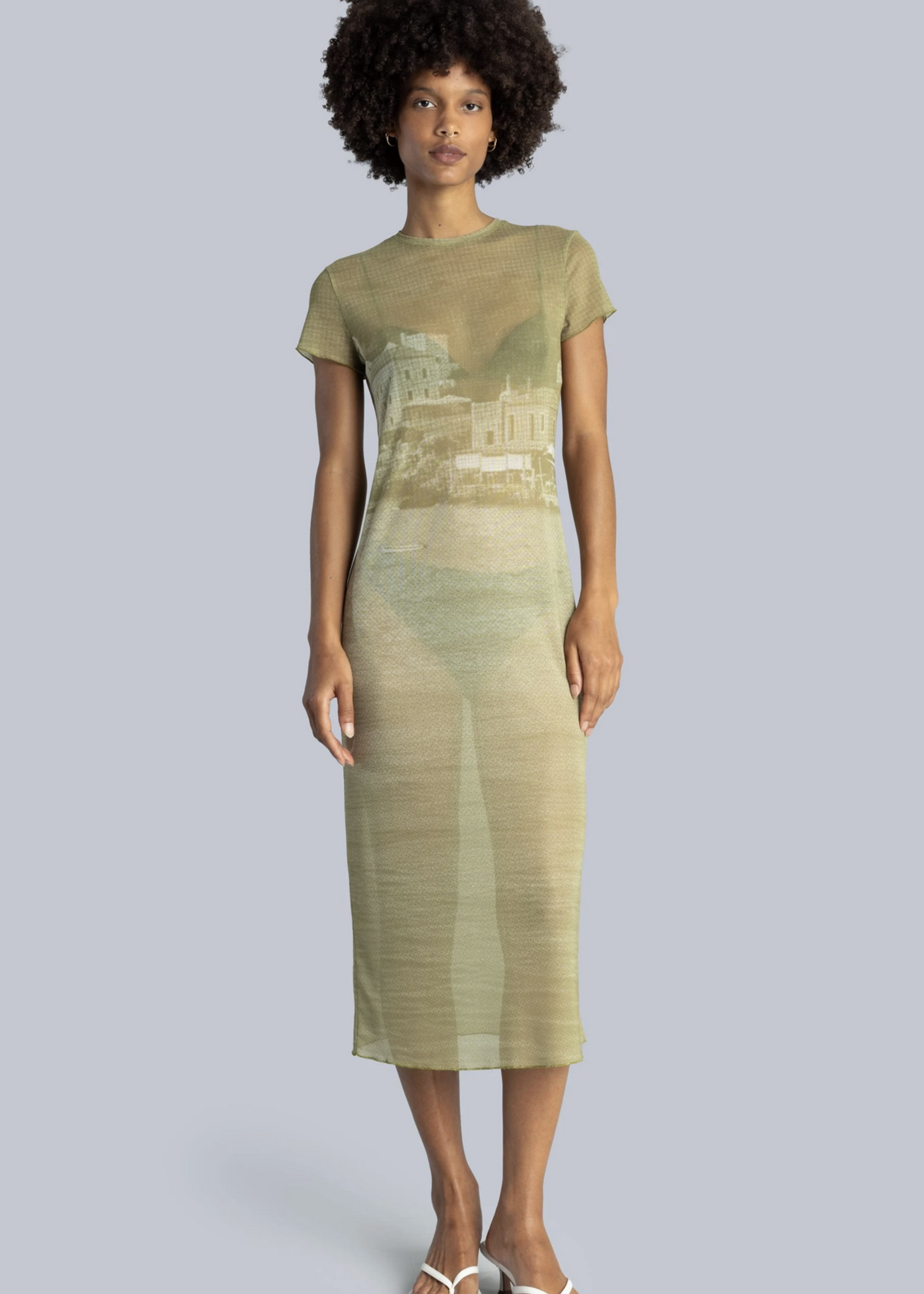 Esthe Sheer Midi Dress