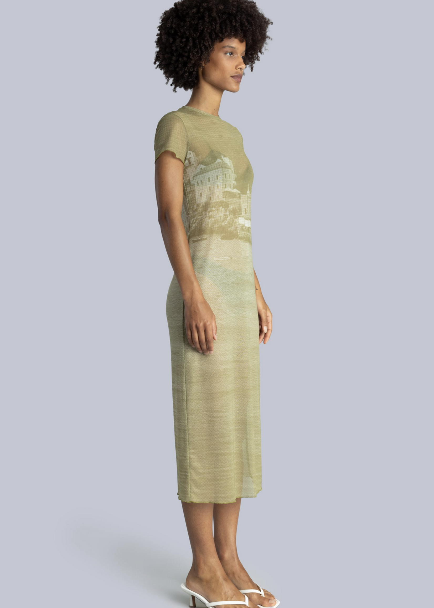Esthe Sheer Midi Dress