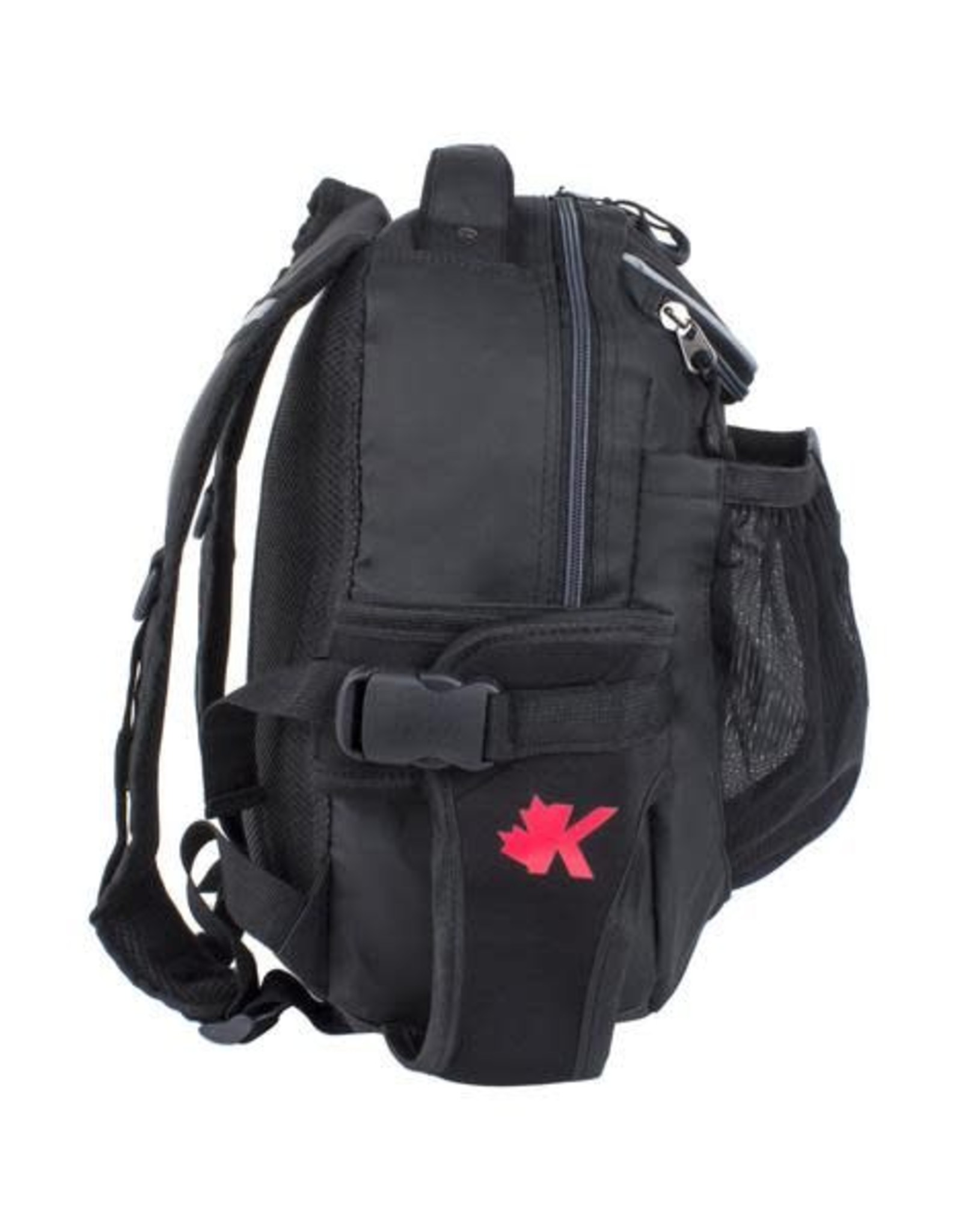 k&b ski bag