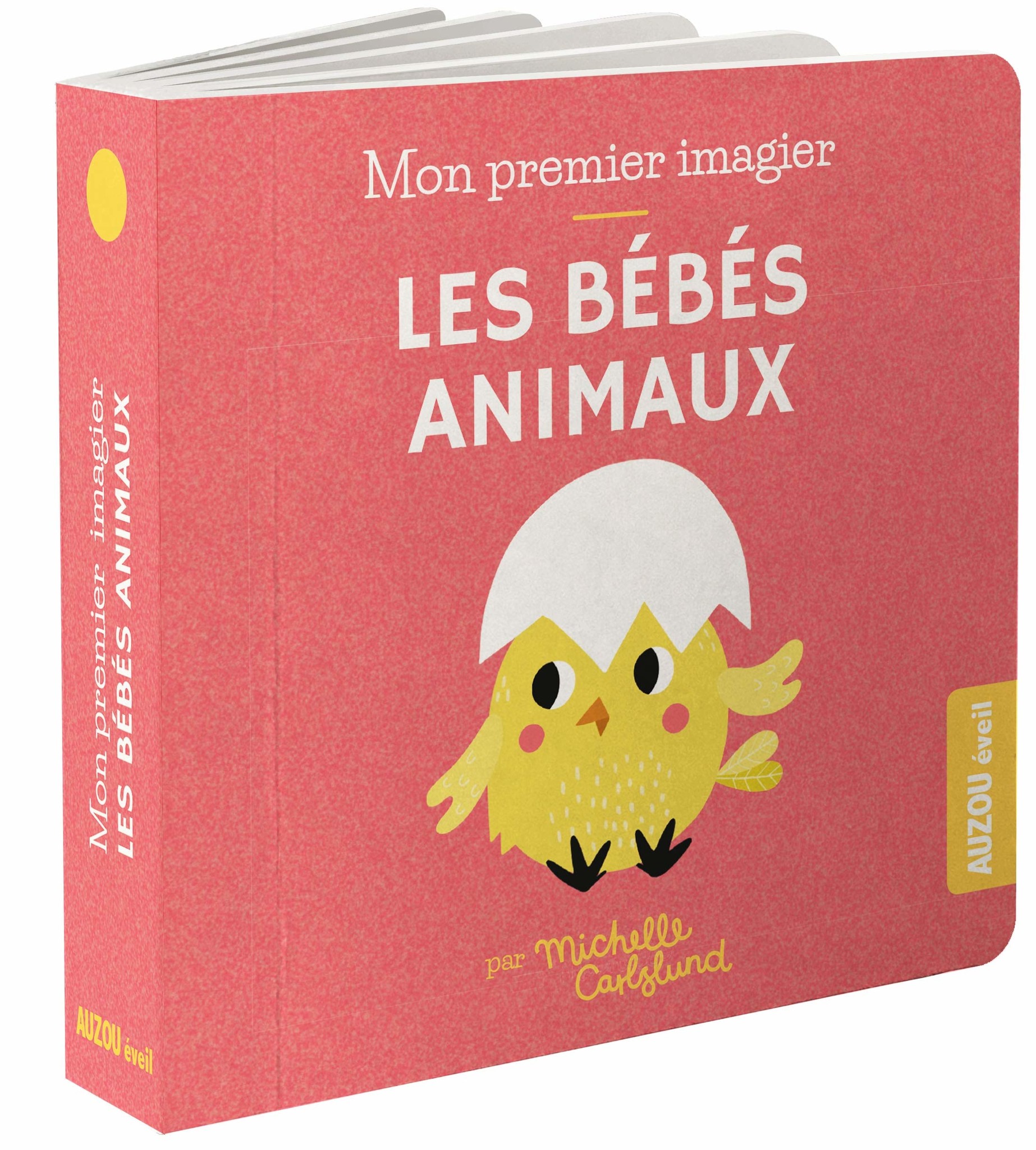 Livre Imagiers, Premiers dictionnaires - Cdiscount Librairie