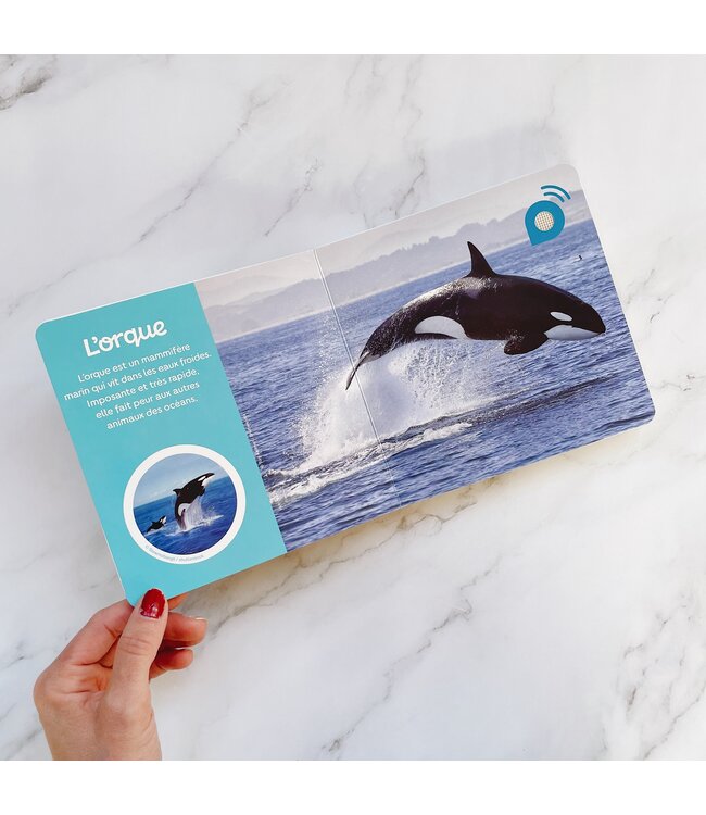 AUZOU MES 1ERS DOCS SONORES - LES ANIMAUX DU FROID