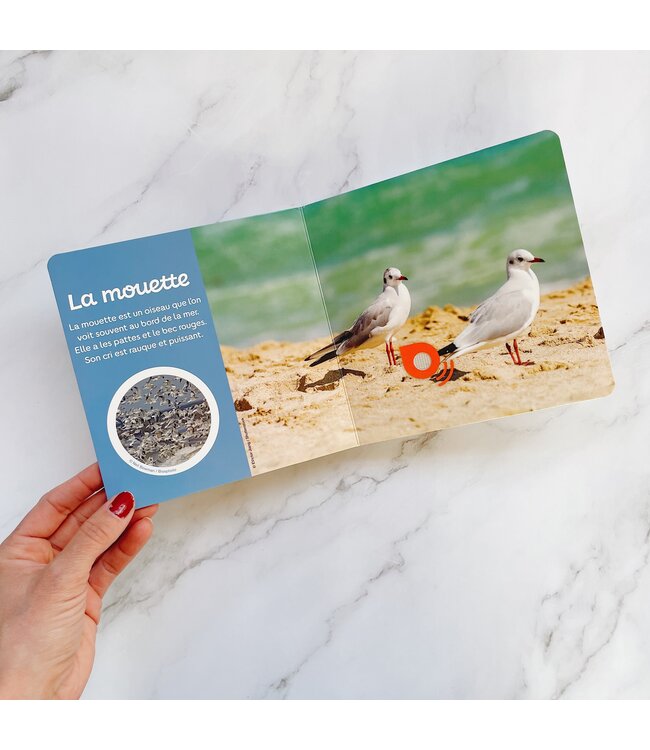 AUZOU MES 1ERS DOCS SONORES - AU BORD DE LA MER