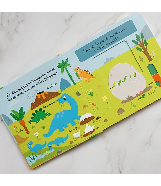 AUZOU MON ANIM'AGIER -  LES DINOSAURES