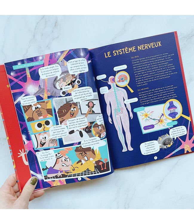 LIVRE - DÉCOUVRE LE CORPS HUMAIN EN BD