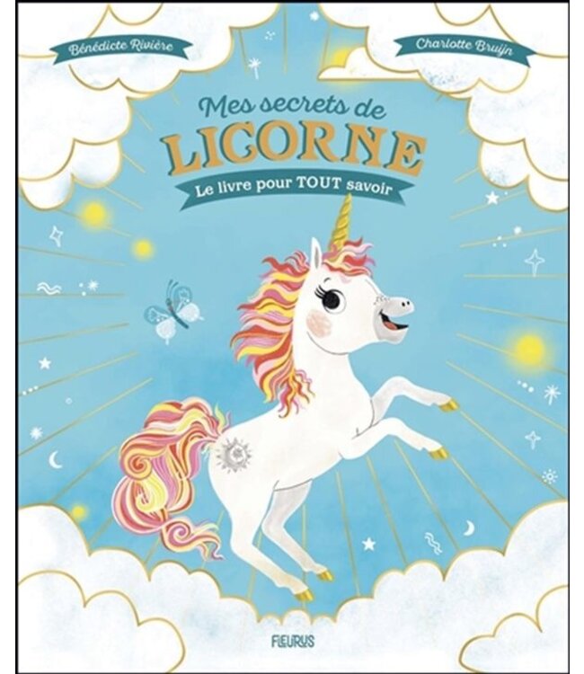 LIVRE - MES SECRETS DE LICORNE