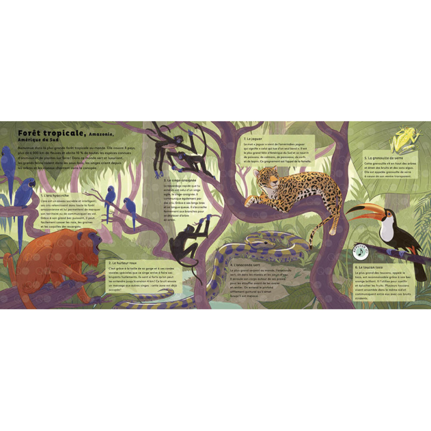 Les Sons De La Nature Bruits De La Nature LES SONS DE LA NATURE - LE MONDE DES FORÊTS - La Petite Penderie