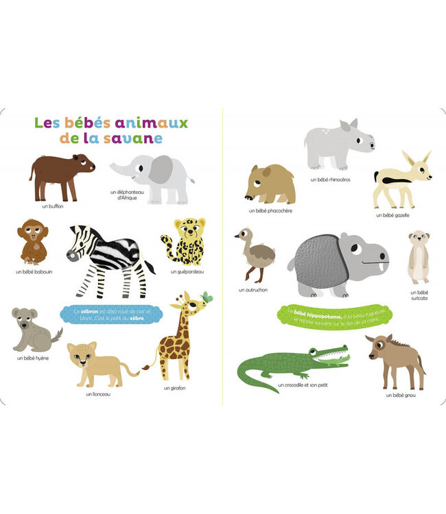 AUZOU LIVRE - MES PREMIERS BÉBÉS ANIMAUX À TOUCHER
