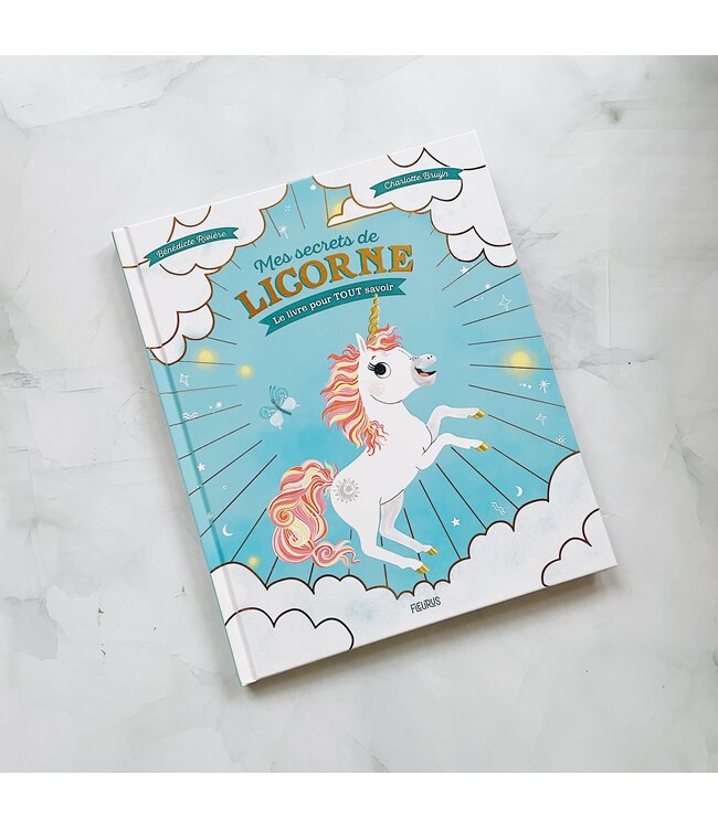 LIVRE - MES SECRETS DE LICORNE