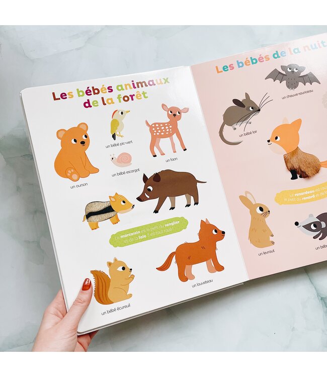 AUZOU LIVRE - MES PREMIERS BÉBÉS ANIMAUX À TOUCHER