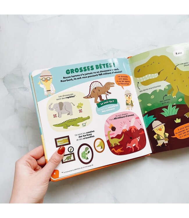 AUZOU LES SUPER-CURIEUX  : LES DINOSAURES