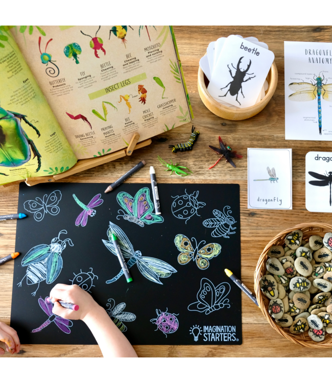 NAPPERON TABLEAU NOIR - INSECTES