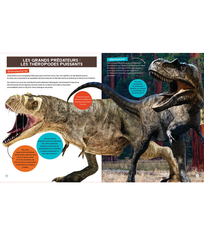 LIVRE - À LA DÉCOUVERTE DES DINOSAURES