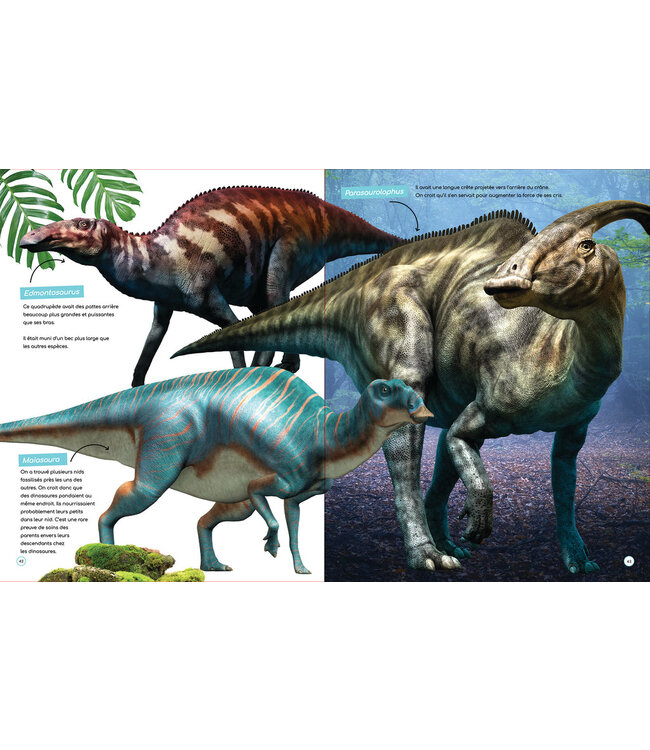 LIVRE - À LA DÉCOUVERTE DES DINOSAURES