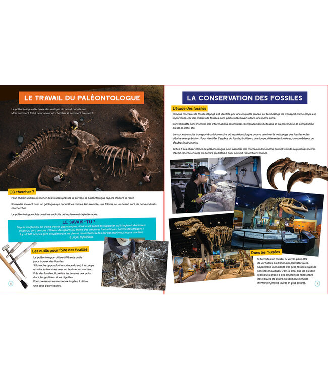 LIVRE - À LA DÉCOUVERTE DES DINOSAURES