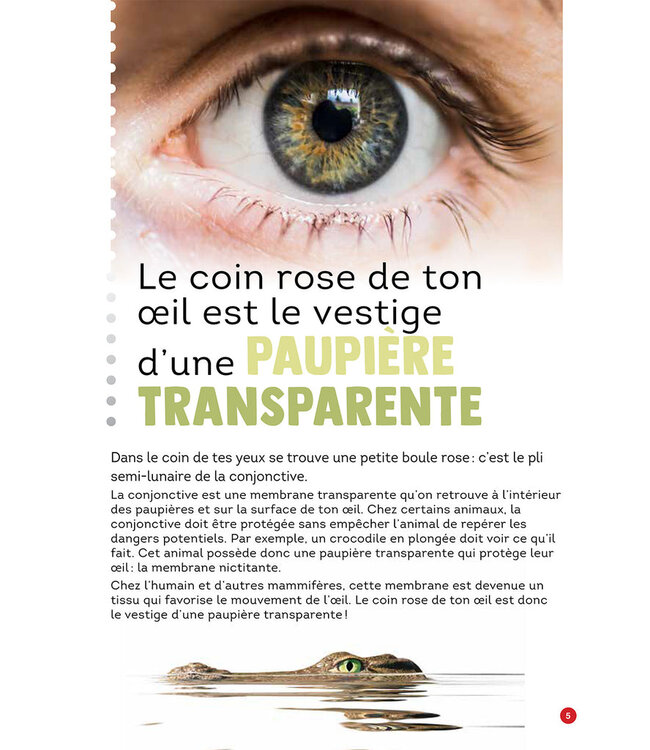 LIVRE - 100 FAITS ÉTONNANTS SUR LE CORPS HUMAIN