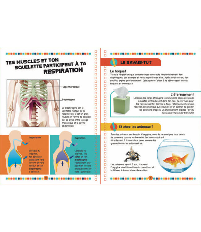 LIVRE - LE LIVRE DU CORPS HUMAIN