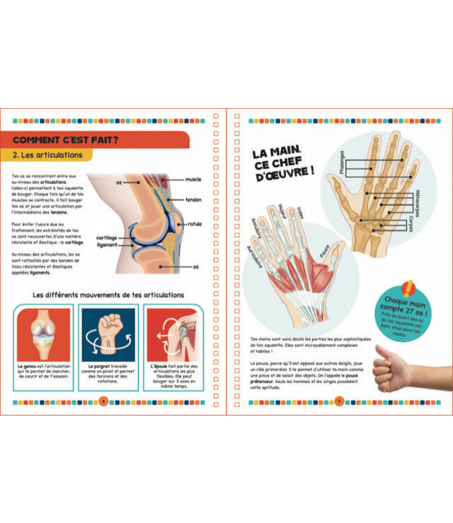 LIVRE - LE LIVRE DU CORPS HUMAIN