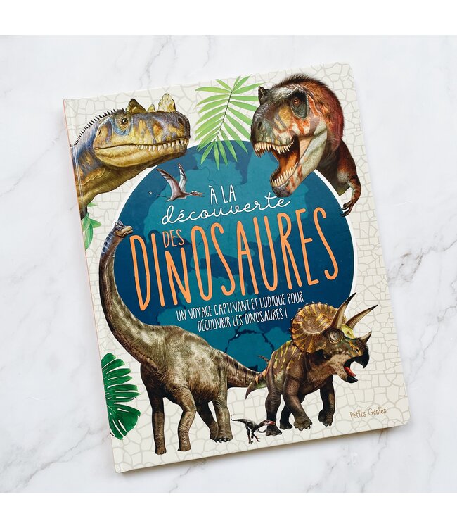 LIVRE - À LA DÉCOUVERTE DES DINOSAURES