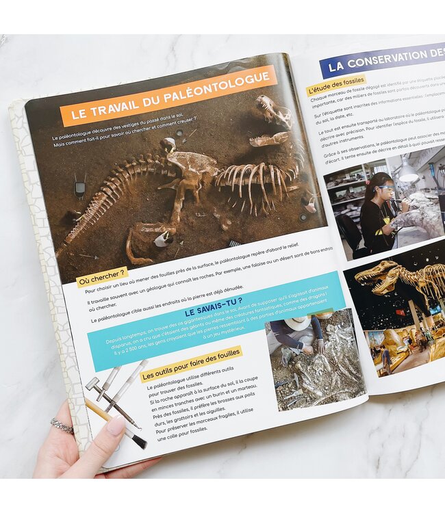 LIVRE - À LA DÉCOUVERTE DES DINOSAURES