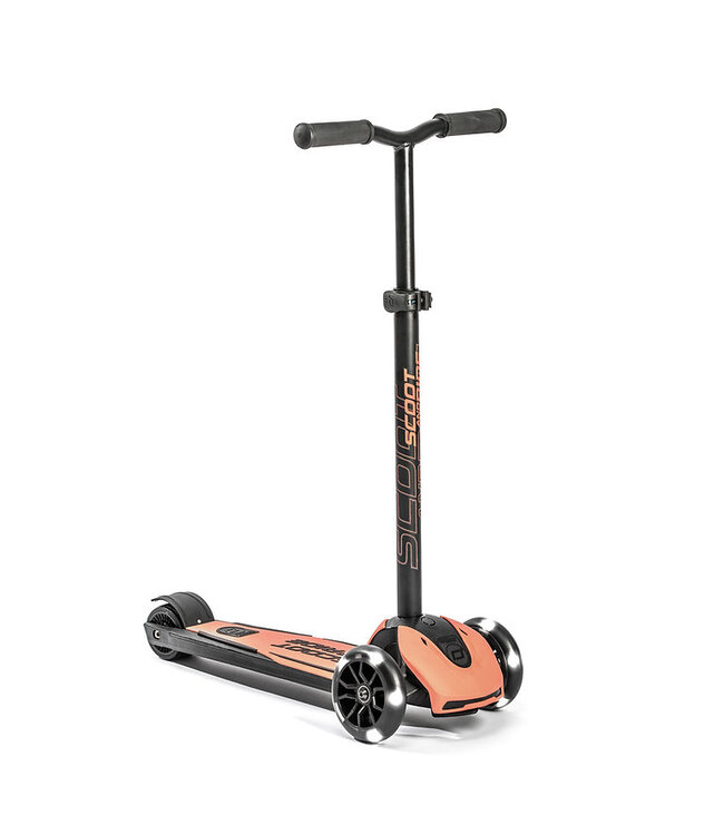 SCOOT AND RIDE TROTTINETTE (5 ANS +) : HIGHWAYKICK 5 LED - PECHE