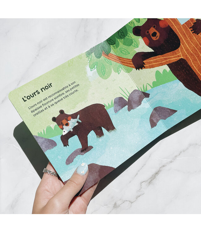 AUZOU LIVRE SONORE - MES ANIMAUX DU QUÉBEC