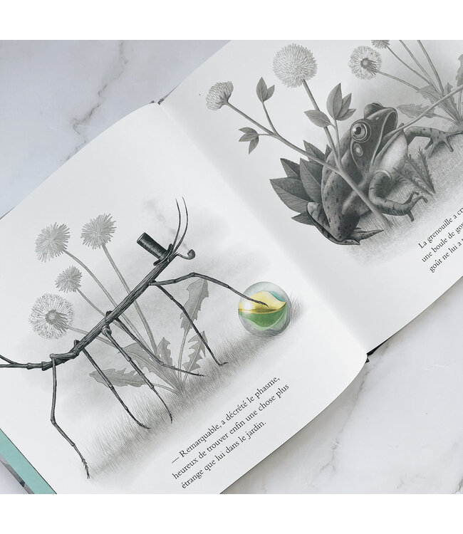 SCHOLASTIC LIVRE - LA MERVEILLE