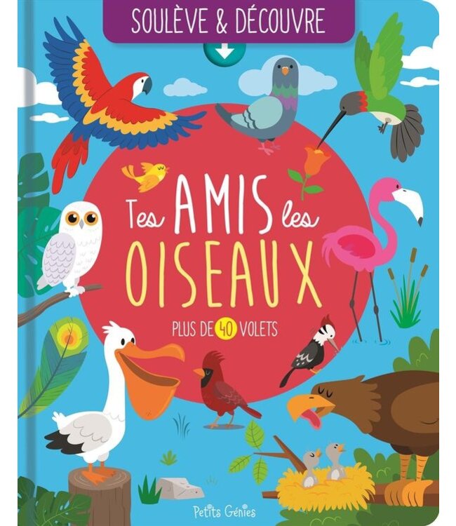 1,2,3 SOLEIL! LIVRE - SOULEVE ET DECOUVRE : TES AMIS LES OISEAUX