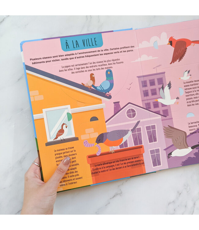 1,2,3 SOLEIL! LIVRE - SOULEVE ET DECOUVRE : TES AMIS LES OISEAUX