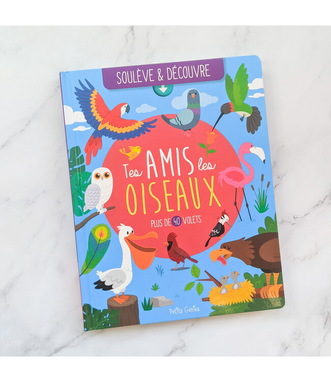 1,2,3 SOLEIL! LIVRE - SOULEVE ET DECOUVRE : TES AMIS LES OISEAUX