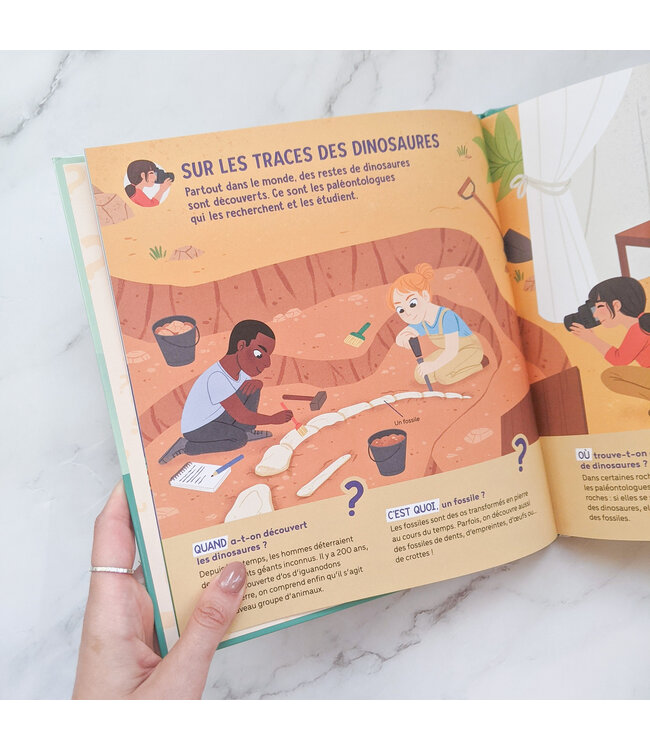 LIVRE - MES QUESTIONS DE GRAND : LES DINOSAURES