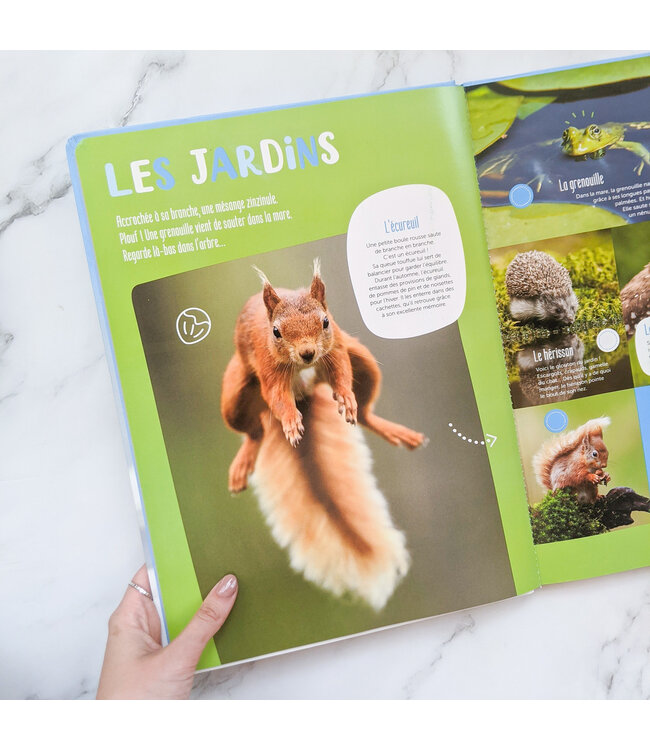 1,2,3 SOLEIL! LIVRE - MON GRAND LIVRE SONORE DES ANIMAUX