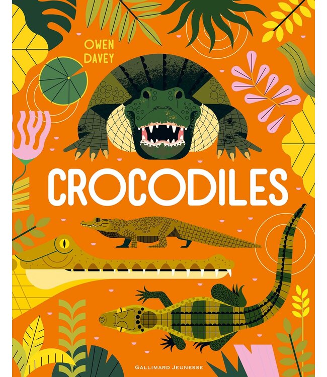 GALLIMARD JEUNESSE LIVRE - CROCODILES