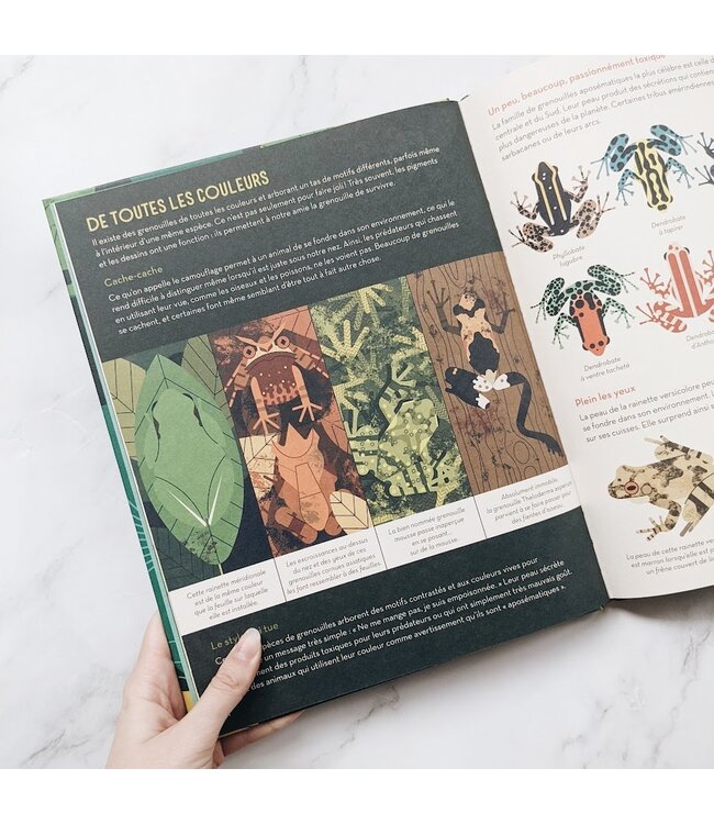 GALLIMARD JEUNESSE LIVRE - GRENOUILLES