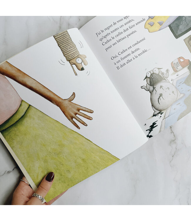 SCHOLASTIC LIVRE - CARLOS LE REBELLE