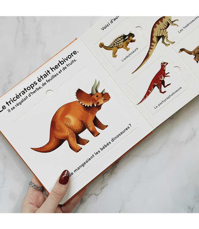 GALLIMARD JEUNESSE LIVRE - LA DINOSAURES : MON IMAGIER ANIMÉ